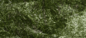 le visuel de l'exposition