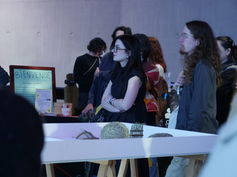 Soirée de restitution Noeuds et entrelacs ©Frac Bretagne