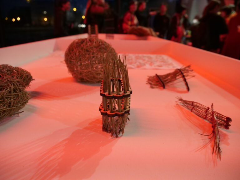 Soirée de restitution Noeuds et entrelacs ©Frac Bretagne