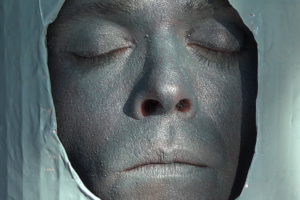 rouge gorge_Robin Poligné_conférence_EESAB2